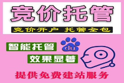 信息流推广策略解析：案例深度剖析